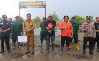 Peringatan Hari Lingkungan Hidup, Ketua Bawaslu Tolitoli turut berpartisipasi dalam Penanaman Mangrove